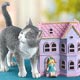 Kitty's Playhouse