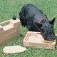 Dog Products,Collars For Dogs, Dog Collars, Leads, Dog Harnesses, Dog Bowls,water stations