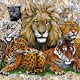 Cat Lover Products,Cat Games,Games,Cat Puzzles,puzzles, Cat Toys,Plush Animals,Stuff Cats,Stuff cat Puzzle