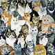Cat Lover Products,Cat Games,Games,Cat Puzzles,puzzles, Cat Toys,Plush Animals,Stuff Cats,Stuff cat Puzzle