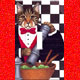 Collectibles, Cat Clocks,Music Boxes