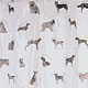 Treat jars Cats, Pedigree Treat Jars, Pedigree, Pedigree Plates