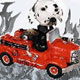 Doogie Vehicles