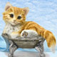 Collectibles, Cat Clocks,Music Boxes