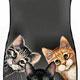 Collectibles, Cat Clocks,Music Boxes