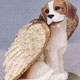 Ornaments of Dog Breed