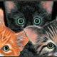 Collectibles, Cat Clocks,Music Boxes