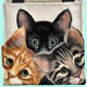cat 
watches tote bags shirts tshirts gifts items, Cat Grooming Tools