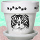 Pedigree Flower Pot