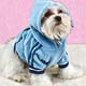 Dog,dog life preservers Dog,pet life preservers Dog,life preservers dogs Dog,floatation Jackets Dog,floatation jackets animals Dog,dog raincoats Dog,dog jumpsuits Dog,raincoats dogs Dog,jackets dogs Dog,coats dogs Dog,dog collars