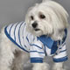 Dog,dog life preservers Dog,pet life preservers Dog,life preservers dogs Dog,floatation Jackets Dog,floatation jackets animals Dog,dog raincoats Dog,dog jumpsuits Dog,raincoats dogs Dog,jackets dogs Dog,coats dogs Dog,dog collars