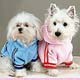 Dog,dog life preservers Dog,pet life preservers Dog,life preservers dogs Dog,floatation Jackets Dog,floatation jackets animals Dog,dog raincoats Dog,dog jumpsuits Dog,raincoats dogs Dog,jackets dogs Dog,coats dogs Dog,dog collars
