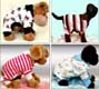 Dog,dog life preservers Dog,pet life preservers Dog,life preservers dogs Dog,floatation Jackets Dog,floatation jackets animals Dog,dog raincoats Dog,dog jumpsuits Dog,raincoats dogs Dog,jackets dogs Dog,coats dogs Dog,dog collars