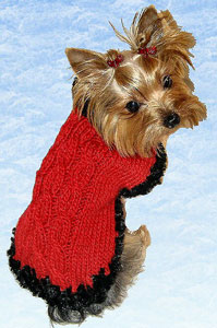 Paris Red Sweater 