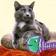 Collectibles,Music Box, Cat Clocks, Cat Sculptures,Cat Figurines