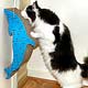 Collectibles,Music Box, Cat Clocks, Cat Sculptures,Cat Figurines