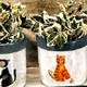 Collectibles, Cat Clocks,Music Boxes