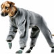 Dog,dog life preservers Dog,pet life preservers Dog,life preservers dogs Dog,floatation Jackets Dog,floatation jackets animals Dog,dog raincoats Dog,dog jumpsuits Dog,raincoats dogs Dog,jackets dogs Dog,coats dogs Dog,dog collars