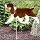 Garden 
Stakes