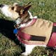 Blanket 
coat