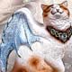 Bat-Winged Cat